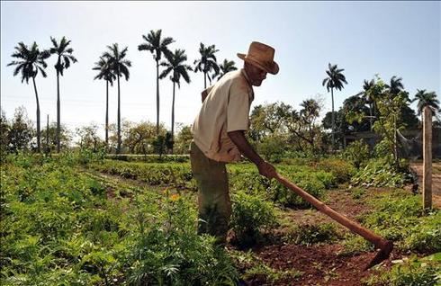 Agricultor brasileiro de 90 anos orgulha-se dos 50 filhos que teve com mulheres, cunhada e sogra